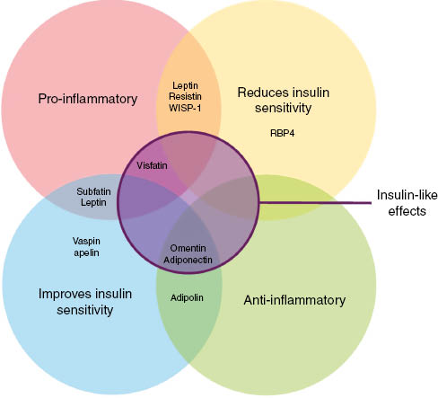 Figure 3: Adipokine classification and relation to insulin regulation.General postulated role of adipokines in regard to insulin regulation as traditionally classified by inflammation, insulin regulation and insulin mimicking effects.
