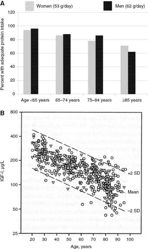 Figure 3: Protein intake, serum IGF-I in relation with aging.The decline with aging in the protein intake and in the serum level of IGF-I is depicted in A and B, respectively. (A) The protein consumption was recorded from a representative sample (n=1453) of persons living in two Italian cities. The protein intake considered as adequate is indicated above the diagram for both women and men. Adapted from reference [106]. (B) The progressive decline in serum IGF-I was recorded in 448 healthy subjects from young adulthood to old age. The correlation coefficient R between IGF-I and age was −0.74 (p<0.01). The regression lines from the mean and 2 SD are shown. Women are represented by circles and men by triangles. Adapted from reference [107].