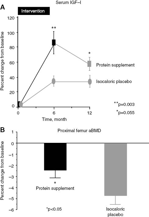 Figure 5: Effects of protein supplements on serum IGF-I and proximal femur in patients with a recent hip fracture.The design was a 6-month, randomized, double-blind, placebo-controlled trial with 6-month post-treatment follow-up. All patients (n=82, mean age=80.7) received calcium supplementation, 550 mg/day, and one dose of vitamin D, 200,000 at baseline. They were randomized to consume either a protein (casein) supplement, 20 g/day or an isocaloric supplement (placebo-controls). (A) Change in serum IGF-I from baseline to the end of intervention at month 6 and follow-up at month 12. (B) Change in femoral neck aBMD from baseline to month 12 showing the significant attenuation of bone loss in the protein-supplemented group as compared to the isocaloric placebo group. Figures A and B are adapted from reference [14].