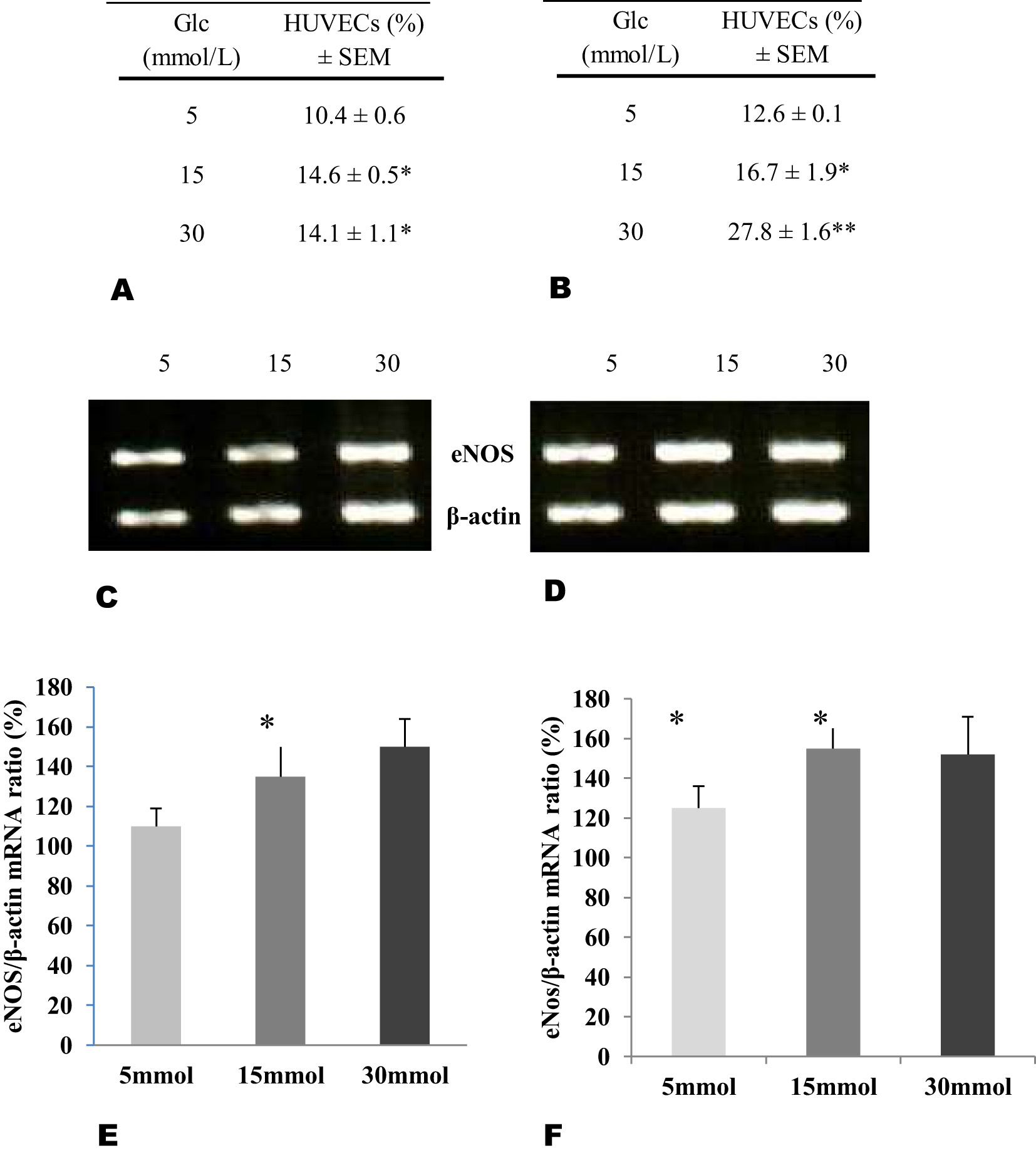 Figure 2: 
Percentage of endothelial cells producers of nitric oxide (NO) from newborns with (A, n=20) or without FH-DM2 (B, n=20), incubated with different glucose concentrations for 48 h. Expression of mRNA and ratio calculated from endothelial nitric oxide synthase (eNOS) in relation from β-actin in endothelial cells with (C–E) or without (D–F) HF-DM2, after incubation by 48 h in the glucose concentrations showed (*p<0.05 vs. 5 mmol of glucose).
