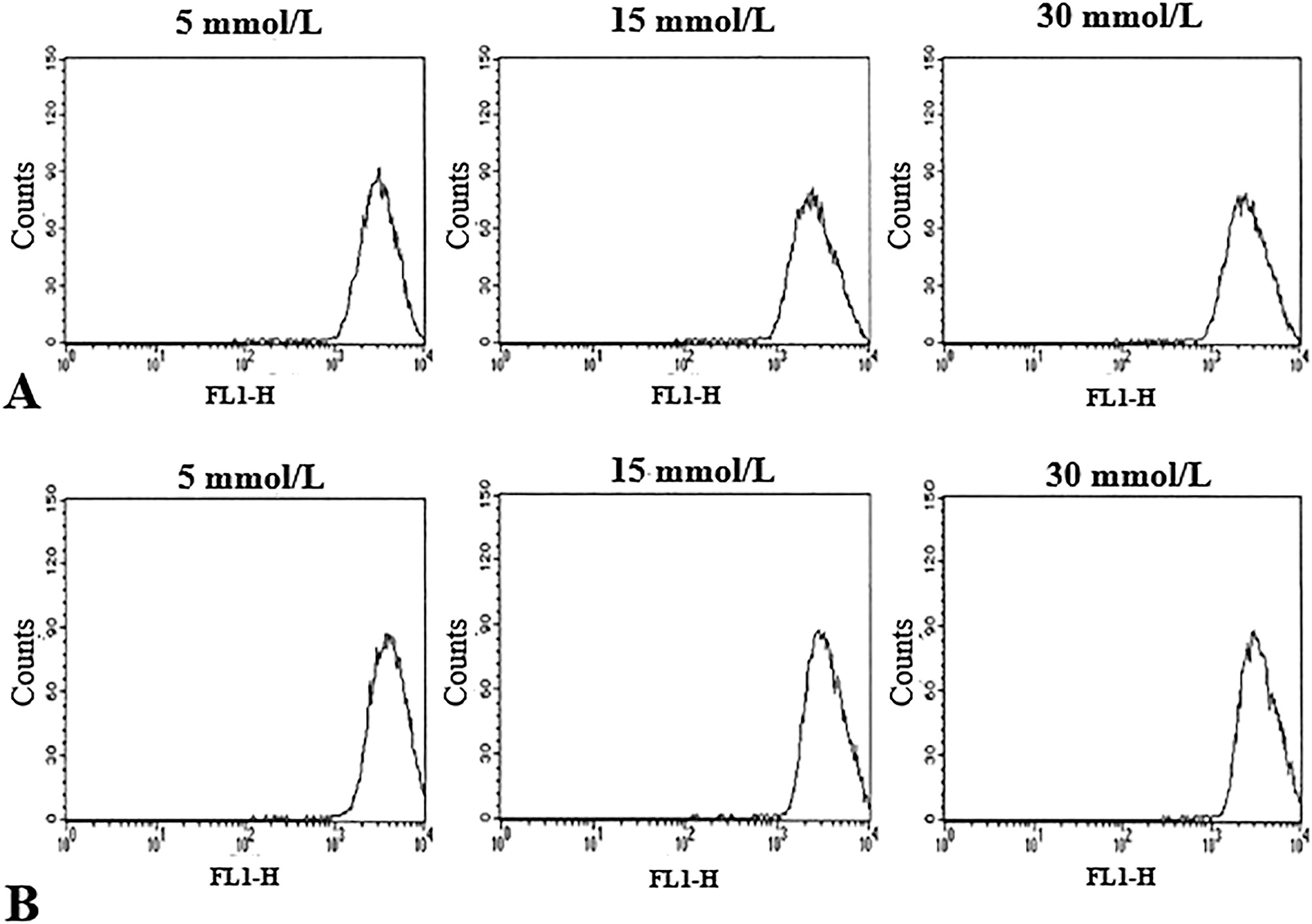 Figure 4: 
Histograms showing mitochondrial membrane potential (MMP) determined in HUVECs with (A) and without FH-DM2 incubated for 48 h with glucose plus 50 nM DiOC6 (3). The figure shows the results of a 48 h representative experiment. Our results did not show significant changes in the endothelial cells with/without FH-DM2 after 48 h of culture with the different glucose concentrations used; p>0.05.
