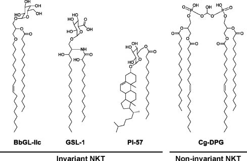 Figure 2 Selected microbial lipid antigens that activate invariant and non-invariant NKT cells.