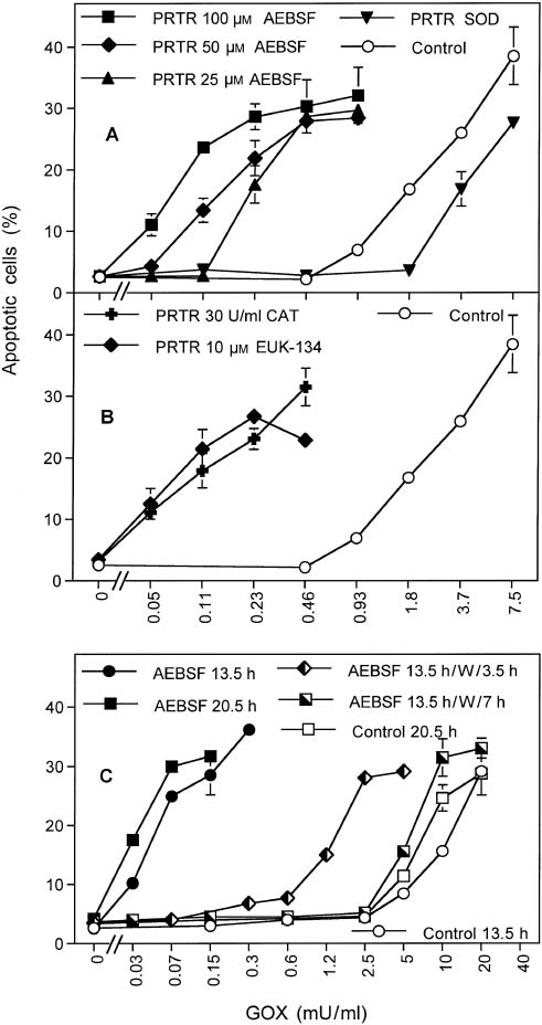 Figure 5: Catalase concentration of tumor cells is modulated by their extracellular H2O2 concentration.(A, B) MKN-45 cells (200 000/ml) were pretreated with 25, 50, or 100 μm AEBSF, 100 U/ml MnSOD, 30 U/ml catalase, or 10 μm EUK-134 for 14 h at 37°C. Control cells were incubated without addition. Cells were centrifuged, washed in three cycles and reseeded at a density of 4000 cells/100 μl. GOX was added at the indicated concentrations, and apoptosis induction in duplicate assays was monitored after 2 h. This experiment has been repeated twice. Statistical analysis: All shifts of curves described are highly significant (p<0.001). The differences between the effects of varying concentrations of AEBSF are highly significant (p<0.001). (C) MKN-45 cells (200 000/ml) were pretreated with 100 μm AEBSF (‘AEBSF’) or without AEBSF (‘control’) for 13.5 or 20.5 h at 37°C. In addition, cells pretreated with AEBSF for 13.5 h were centrifuged, washed in three cycles, and incubated in the absence of AEBSF for 3.5 or 7.5 h (‘AEBSF 13.5 h/W/3.5 h’, ‘AEBSF 13.5 h/W/7 h’). Before being challenged by H2O2-producing GOX, cells were centrifuged, washed in three cycles, and reseeded at a density of 5000 cells/100 μl. GOX was added at the indicated concentrations and apoptosis induction was monitored after 2 h in duplicate assays. (One unit of GOX is defined as producing 1 μmol H2O2/min at 35°C at a pH of 5.1 and optimal saturation of the medium with oxygen.) This experiment has been repeated twice. Statistical analysis: The effects of AEBSF pretreatment as well as of removing AEBSF from pretreated cells and cultivating the cells in its absence are highly significant (p<0.001). Further controls are shown in the supplementary materials (Supplementary Figures 8 and 9).