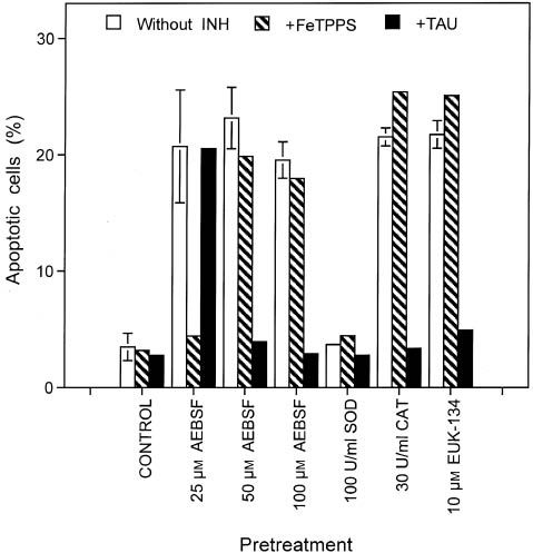 Figure 6: Impact of downmodulation of tumor cell-associated catalase for reactivation of intercellular apoptosis-inducing ROS signaling.Cells pretreated under the conditions described in Figure 5 were washed and reseeded under conditions of autocrine apoptosis induction (12 500 cells/100 μl). The cells remained either free of further additions or received 25 μm FeTPPS or 50 mm taurine. After 6 h, apoptosis induction was monitored in duplicate assays. The figure shows that conditions that downmodulated catalase (i.e. AEBSF treatment, treatment with catalase, or the catalase mimetic EUK-134), but not control cells or SOD-pretreated cells, went into autocrine apoptosis induction after pretreatment. Pretreatment with 25 μm AEBSF that had caused the least degree of sensitization in the parallel experiment shown in Figure 5 caused apoptosis induction mainly through the NO/peroxynitrite pathway, whereas all other conditions caused apoptosis induction through HOCl signaling. This experiment has been repeated once. Statistical analysis: Apoptosis induction after pretreatment with AEBSF, catalase, and EUK-134 was highly significant (p<0.001), whereas pretreatment with SOD did not cause significant apoptosis induction. In cells that had been pretreated with 25 μm AEBSF, inhibition of apoptosis by FeTPPS was highly significant (p<0.001), whereas there was no significant inhibition by taurine. In cells that had been pretreated with 50 or 100 μm AEBSF, catalase or EUK-134 inhibition by taurine was highly significant (p<0.001), whereas there was no significant inhibition by FeTPPS.