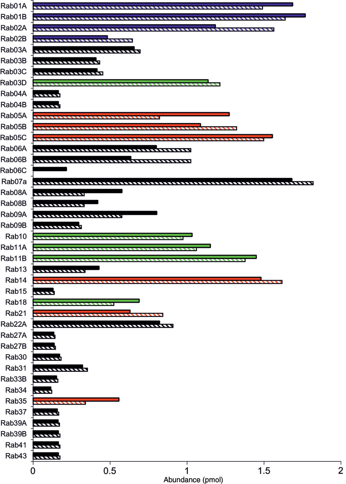 Figure 5: Identification and quantification of Rab GTPases from compactin-treated (full bars) and BMS-treated (striped bars) COS-7 cells.The protein abundance is given in pmol and individual Rab proteins are colored according to their function: Rabs controlling the biosynthetic pathways are blue, Rabs controlling secretion are green, and Rabs controlling endocytic and recycling pathways are red. Revised from Nguyen et al. (2009).