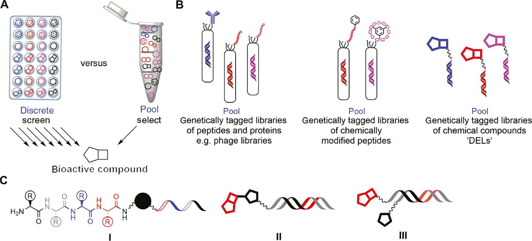 Figure 1: Identification of bioactive compounds by screening versus selection.(A) Discrete compound libraries necessitate large-scale experimentation for testing all members for bioactive compounds (‘screening’) whereas pools of compounds can be tested for target ligands in single experiments (‘selection’). (B) From genetically tagged libraries of biomolecules via libraries of chemically modified biomolecules to libraries of genetically tagged chemically synthesized compounds. (C) Different formats of encoded chemical libraries: I, encoded peptides on beads; II, DNA-encoded compounds; III, dual display of DNA-tagged fragments.
