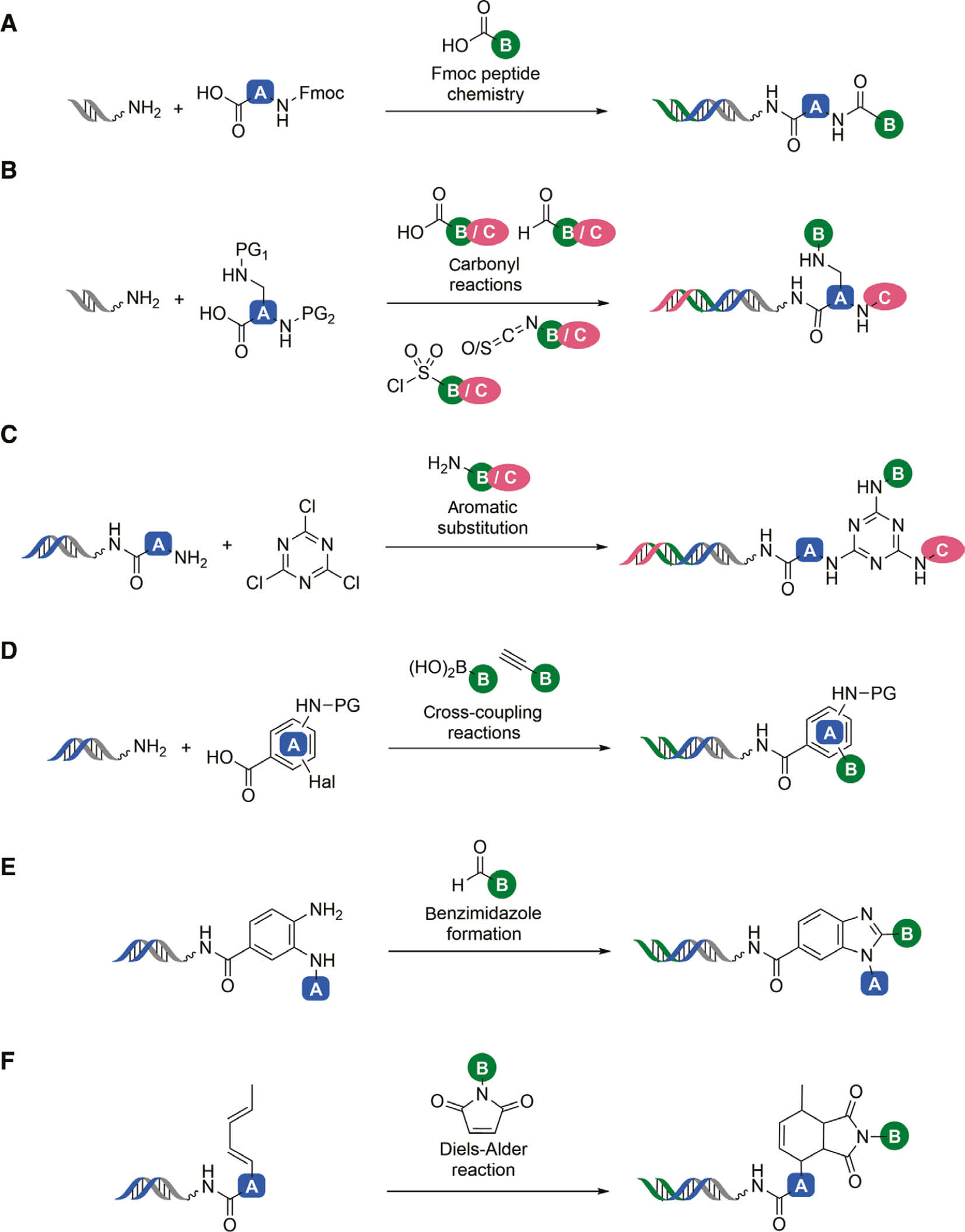Figure 3: Representative chemical reactions applied to DNA-encoded libraries synthesis.PG, protective group; Hal, halide; coloured shapes denote diversity elements.