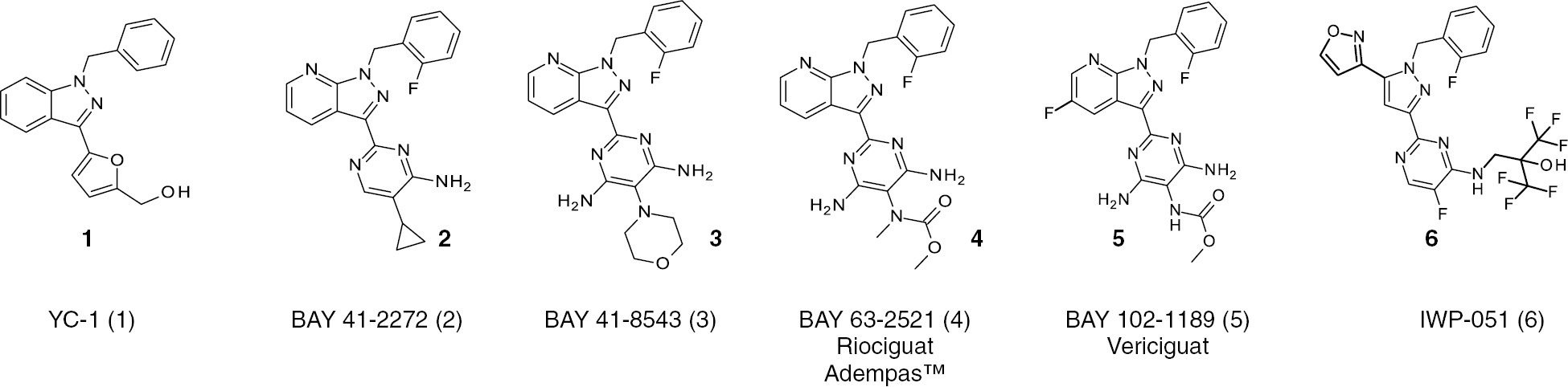 Figure 2: Chemical structures of sGC stimulators.YC-1, BAY 41-2272 and BAY 41-8543 are early sGC stimulator compounds still used as pharmacological tool compounds for preclinical experiments to explore this pharmacological principle. The new generation sGC stimulator riociguat is approved under the tradename Adempas™ for the treatment of pulmonary hypertension (PAH/CTEPHP) and vericiguat is in phase 3 clinical development for the treatment of chronic heart failure (HFrEF).
