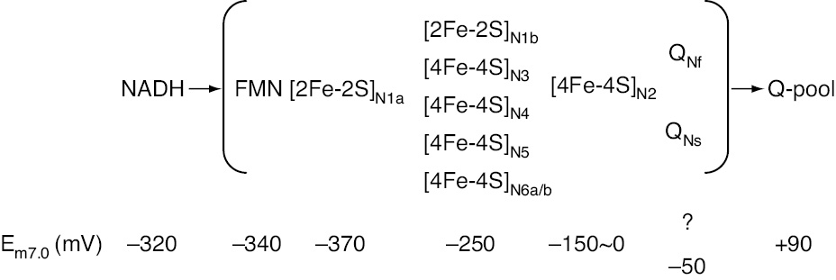 Figure 3: Thermodynamic characterization of redox components in bovine heart complex I.