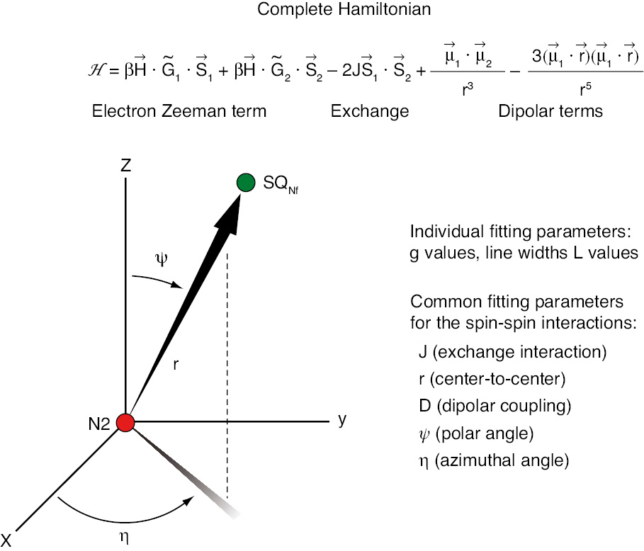 Figure 9: The complete Hamiltonian.The first two terms are Zeeman terms for EPR spectra of interest including both exchange and dipolar interactions.