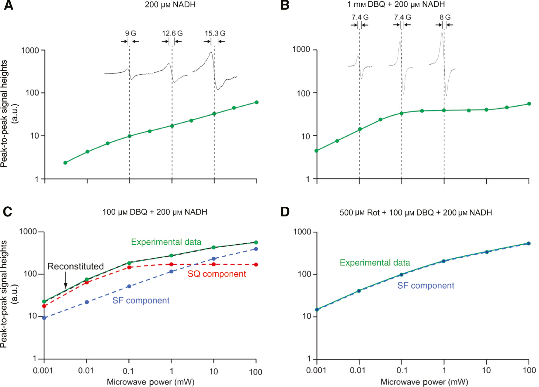 Figure 13: EPR power saturation profiles from 1 to 100 mW of bovine heart complex I.(A) Bovine heart complex I 30 μm was transferred into an EPR tube and was incubated at 20°C for 3 min. Then, 200 μm NADH was added using the adder-mixer (Ohnishi and Ohnishi, 2010). Sample was frozen in 10 s. (B) After 3 min incubation (at 20°C) of complex I 30 μm with 1 mm DBQ, 200 μm NADH was added and the sample was frozen in 10 s. (C–D) The concentration of complex I in Figures (C–D) was 60 μm, and all tubes were handled similarly. In (C) 100 μm DBQ+200 μm NADH were added to the sample; in (D), 500 μm rotenone+100 μm DBQ+200 μm NADH. In (C), experimental power saturation data (green) was resolved into each component of SF (blue) and SQ (red). The dashed curve (black) in these two figures represents the reconstituted curve, which shows a good fitting to the original experimental data. Other conditions which are common to all these figures: 300 mm sucrose, 40 mm HEPES–HCl (pH 7.8), 0.2% DM and 0.05% DDM. EPR spectra were taken using Bruker EMX spectrometer at 150 K. Reproduced with kind permission from Ohnishi et al. (2010a,b,c).