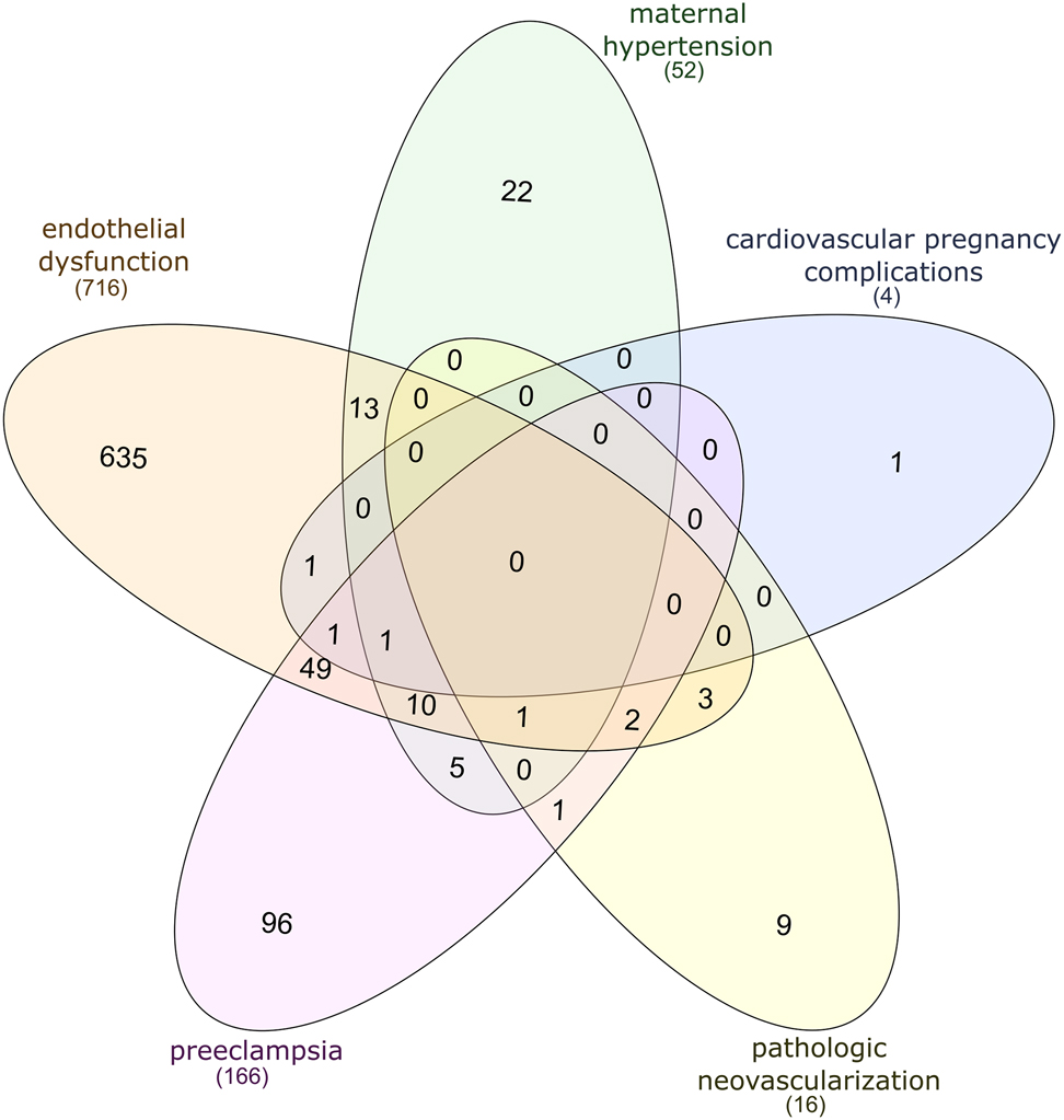 Figure 2: 
Venn diagram of overlapping genes associated with ED, PE, pathologic neovascularization, cardiovascular pregnancy complications, or maternal hypertension.
The total number of gene-disease associations is shown below the disease name.
