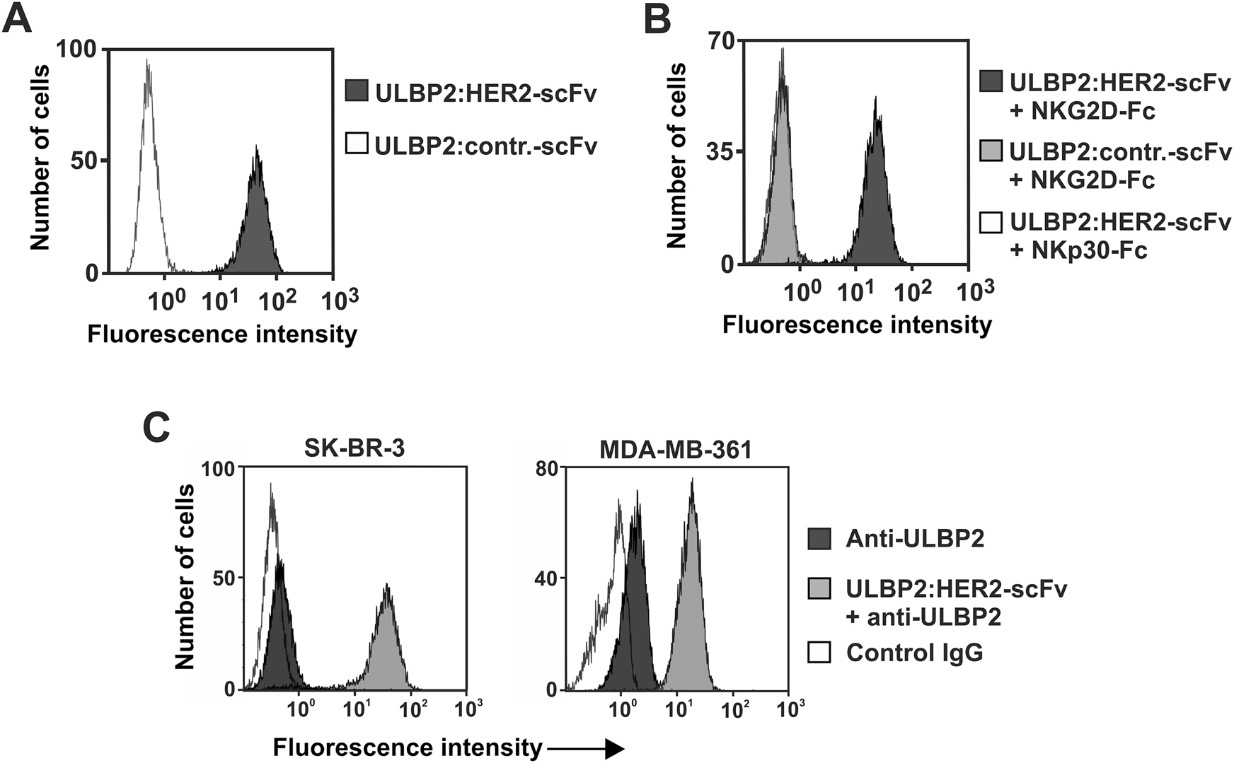 Figure 2: 
Binding abilities of ULBP2:HER2-scFv.
(A) Binding of ULBP2:HER2-scFv to HER2-positive SK-BR-3 cells was analyzed employing secondary anti-penta-histidine antibodies. (B) To demonstrate NKG2D reactivity and simultaneous antigen binding, SK-BR-3 cells were first incubated with ULBP2:HER2-scFv, then treated with a fusion protein consisting of the extracellular domain of NKG2D and the human IgG Fc domain (NKG2D-Fc), which finally was detected by antibodies specific for the human Fc portion. An immunoligand against CD37 (ULBP2-contr.-scFv) and a fusion protein of the extracellular domain of NKp30 and human Fc (NKp30-Fc) were applied in control reactions. (C) SK-BR-3 (left) or MDA-MB-361 (right) cells were either left untreated or pre-incubated with ULBP2:HER2-scFv and then stained with a PE-conjugated anti-ULBP2 antibody or an isotype control.
