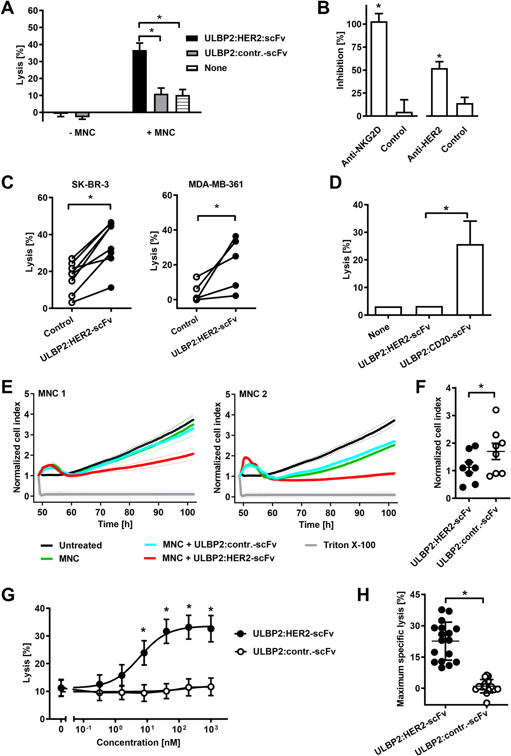Figure 3: 
ULBP2:HER2-scFv triggers NK cell cytotoxicity.
(A) Cytotoxicity of ULBP2:HER2-scFv in the presence or absence of MNC. Target cells were SK-BR-3, the E:T cell ratio was 80:1. Data points indicate mean values of five independent experiments with MNC from five different donors (*P < 0.05). (B) Blockade of NKG2D or HER2 inhibits killing of SK-BR-3 cells by ULBP2:HER2-scFv and MNC. E:T cell ratio was 80:1. For blocking, a NKG2D-specific antibody or a HER2-specific tribody were employed. As controls, a non-relevant isotype-matched antibody or an EGFR-specific tribody were used. MNC from six (NKG2D blockade) or five different donors (HER2 blockade) were analyzed in independent experiments (*P < 0.05). (C) Cytotoxicity of ULBP2:HER2-scFv against SK-BR-3 and MDA-MB-361 cells employing purified NK cells (E:T cell ratio: 10:1). The immunoligand was applied at a concentration of 200 nM (*P < 0.05). In independent experiments NK cells from seven (SK-BR-3) or four different donors (MDA-MB-361) were analyzed (*P < 0.05). (D) ULBP2:HER2-scFv (concentration: 200 nM) does not mediate killing of HER2-negative Ramos cells. ULBP2:CD20-scFv was used as a positive control. NK cells from four different donors were applied as effector cells in independent experiments (E:T cell ratio: 10:1; *P < 0.05). (E) For real-time monitoring, SK-BR-3 cells were cultured on an E-plate before addition of MNC and the immunoligands ULBP2:HER2-scFv or ULBP2:contr.-scFv at 10 μg/mL. The E:T cell ratio was 50:1. The cell index was determined every 5 min over the course of the experiment using xCELLigence real-time cell analysis instrument and normalized to 1 at the time point of addition of MNC and antibody constructs. Mean values ± SD of triplicate determinations are shown. Depicted are two representative experiments using MNC from different healthy donors. (F) Comparison of ULBP2:HER2-scFv and ULBP2:contr.-scFv in real-time cell analysis using MNC from eight different donors as effector cells. Data points indicate cell index values after 50 h from individual experiments, horizontal lines show mean values ± SEM (n = 8; *P < 0.05). (G) Dose-dependent lysis of SK-BR-3 cells by ULBP2:HER2-scFv. MNC from different donors were used as effector cells at an E:T cell ratio of 80:1. Data points represent mean values of 17 independent experiments with MNC from 11 different donors (*P < 0.05). (H) To determine specific maximum extents of lysis, percentage of tumor cell killing in the absence of an immunoligand was subtracted from each data point in the dose response curve. Best-fit values for maximum killing were calculated and plotted for the 17 individual MNC preparations derived from 11 different donors. Data points represent mean values from triplicate determinations, the horizontal lines represent mean percentage of specific lysis ± SD (*P < 0.05).
