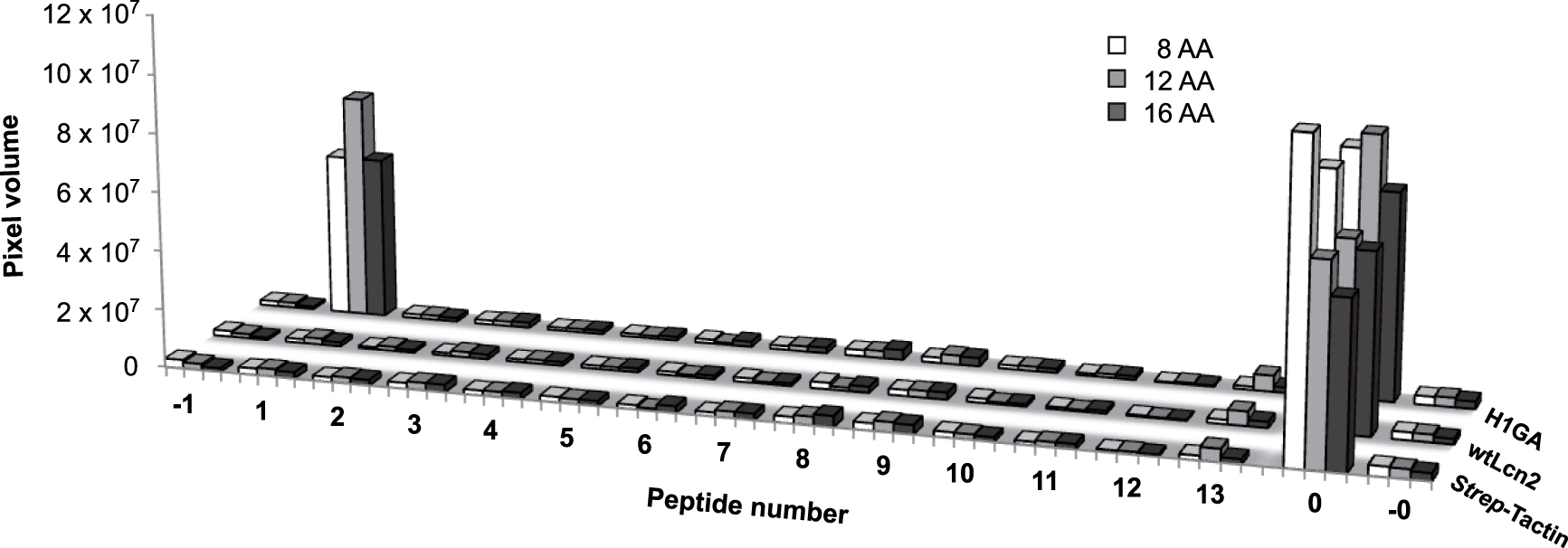Figure 6: 
Investigation of potential cross-reactivity of the Aβ-specific anticalin H1GA with related epitope sequences in human plasma proteins (Table 3) using the SPOT technique. Twelve protein sequences (2–13) with similarity to the linear epitope 18VFFAED23 recognized by H1GA were synthesized as octamer (8 AA), dodecamer (12 AA) and hexadecamer (16 AA) peptides onto a hydrophilic cellulose membrane together with the original target Aβ16–23 (1). The reverse sequence of Aβ16–23 served as negative control (−1). The membranes were incubated with the anti-Aβ anticalin, followed by detection via the Strep-tag II. The synthetic Strep-tag II peptide itself was present on the same membrane as a positive control (0) and also as reverse sequence (−0). Apart from the very low non-specific background signals that were also seen without anticalin, or for wtLcn2, H1GA revealed binding activity exclusively to its target sequence Aβ16–23.
