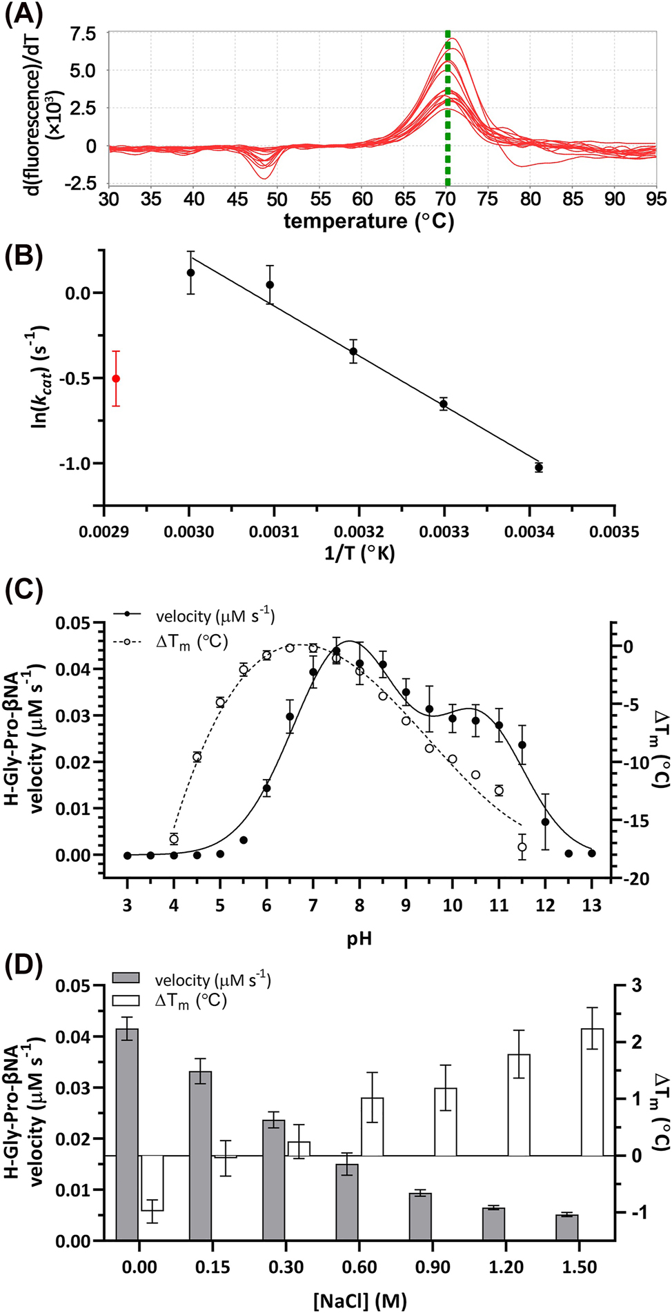 Figure 2:
Biochemical characterization of MtDPP. (A) First derivative curve plot of wild type MtDPP in 0.1 M Tris-HCl pH 7.8, 0.15 M NaCl and 10% glycerol (v/v). (B) Arrhenius plot depicting MtDPP temperature dependent kinetics. Red data point indicates subversion to plot linearity (70 °C). (C) MtDPP catalytic rate (left y-axis; ● line) and thermal shift (∆T
m
; right y-axis; ○ dotted) in different pH (3.0–13.0) conditions. (D) MtDPP catalytic velocity (left y-axis; grey bars) and ∆T
m
(right y-axis; white bars) in varying ionic strength environments. Control was performed in 0.1 M Tris-HCl pH 7.8, 0.15 mM NaCl, 10% glycerol (v/v). All error bars depict standard deviation derived from three experiments in triplicates. TSA melt curve plots can be found in Figure S6A and B.