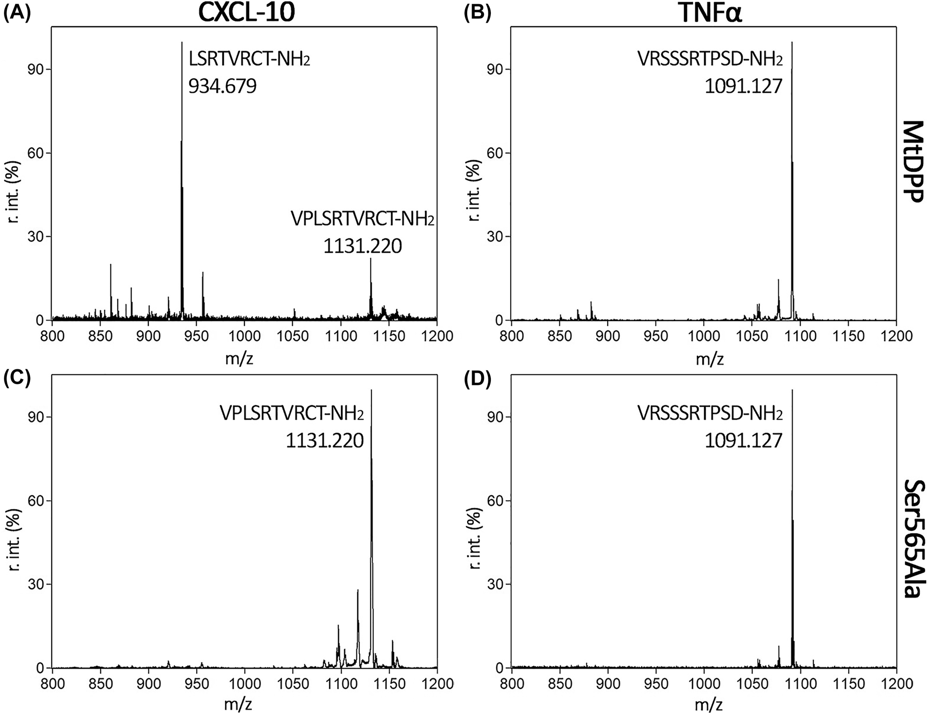 Figure 5:
MALDI-TOF spectra analysing the processing of short chemokine and cytokine peptides by MtDPP. CXCL-10 (A and C) and TNFα (negative control, B and D) peptides were treated with wild type (A and B) or variant S565A (C and D) MtDPP. Peaks are labelled with their sequence and MW corresponding to incubated peptides or their resulting fragments. Peaks display the average relative intensities of three independent experiments.