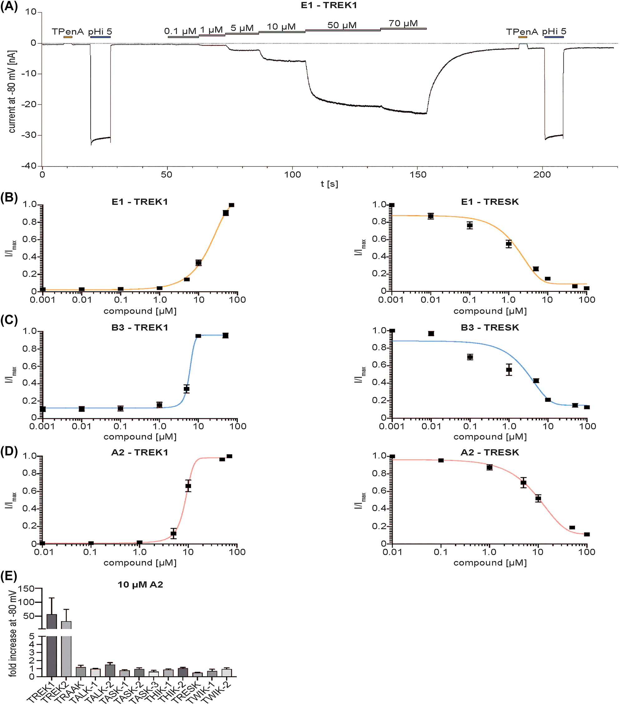 Figure 2:
Electrophysiological compound validation of TREK1 activating compounds. A: Representative measurement of wt TREK1 K2P channels from inside-out patches of Xenopus laevis oocytes showing the activation by increasing concentrations of the indicated compound E1, recorded at a constant potential of −80 mV in symmetrical K+ at pH 7.4. Patch integrity was tested by application of 1 mM TPenA showing almost full block of TREK1 baseline current. Channel opening by intracellular acidification (pHi 5.0) was measured as reference activation. B–D: Dose-response curves from measurements as in A for TREK1 (left panels) and TRESK K2P channels (right panels) showing the concentration-dependent activation of TREK1 and inhibition of TRESK (mean ± SEM) respectively, with the compounds E1 (B), B3 (C) and A2 (D) Compounds were chosen due to the ratio of (i) fold current increase (FI), (ii) the difference between EC50 and CC50, (iii) as well as their interaction with TRESK K2P channels (IC50). E: Modulation of K2P channel currents by 10 µM A2, analysed at −80 mV (One-way ANOVA p-values: TREK1 vs. TREK2 0.0202, TREK1 vs. TRAAK 0.0004, TREK1 vs. TALK-1 0.0002, TREK1 vs. TALK-2 <0.0001, TREK1 vs. TASK-1 0.0003, TREK1 vs. TASK-2 0.0004, TREK1 vs. TASK-3 0.0003, TREK1 vs. THIK-1 0.0002, TREK1 vs. THIK-2 0.0002, TREK1 vs. TRESK <0.0001, TREK1 vs. TWIK-1 0.0003, TREK1 vs. TWIK-2 0.0004). Abbreviations: CC50, 50% cytotoxic concentration; EC50, half maximal effective concentration; FI, fold increase; I, current; IC50, half maximal inhibitory concentration; Imax, maximum current; K2P channel, two-pore domain potassium channel; mV, millivolt; nA, nanoampere; pHi, intracellular pH; s, seconds; SEM, standard error of the mean; t, time; TPenA, Tetra-pentyl-ammonium; TREK1, TWIK-related potassium channel 1; TRESK, TWIK-related spinal cord potassium channel; wt, wild type.