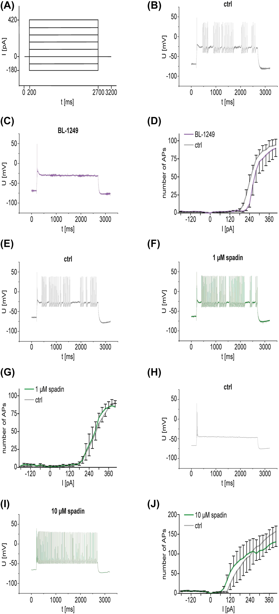 Figure 5:
Whole-cell current-clamp experiments in murine VB neurons in wt C57BL/6J mice after treatment with TREK1 activator BL-1249 or the TREK1 blocker spadin. A: Step protocol used for current-clamp experiments. All experiments were performed at RMP (ranging from −60 to −70 mV). From the RMP, a current step protocol was applied with each step of the protocol increasing the current injected by +20 pA and lasting for 2500 ms. Injected currents ranged from −180 pA to +420 pA. B, C: Exemplary recording of a VB neuron before (B) and after the treatment with 10 µM BL-1249 (C). In both cases, a depolarizing current step of 260 pA was applied. D: Input-output curve of VB neurons in wt C57BL/6J mice before (grey trace) and after (violet trace) treatment with 10 µM BL-1249. The curve was generated by plotting the number of APs generated against the injected current (Mixed-effects analysis with Šidák correction, F (1, 8) = 0.6765, n = 5 for both groups, p > 0.05). E, F: Exemplary recording of a VB neuron before (E) and after (F) the treatment with 1 µM spadin. In both cases, a depolarizing current step of +320 pA was applied. G: Input-output curve of VB neurons in wt C57BL/6J mice before (grey trace) and after (green trace) application of 1 µM spadin (Mixed-effects analysis with Šidák correction, F (1, 6) = 0.07941, n = 4, p > 0.05). H, I: Exemplary recording of VB neurons before (H) and after (I) treatment with 10 µM spadin. In both cases, a depolarizing current step of +120 pA was applied. J: Input-output curve of VB neurons in wt C57BL/6J mice before and after application of 10 µM spadin (Mixed-effects analysis with Šidák correction, F (1, 8) = 2.538−5, n = 5, p > 0.05). Abbreviations: AP, action potential; ctrl, control; I, current; ms, milliseconds; mV, millivolt; ns, not significant; pA, picoampere; RMP, resting membrane potential; SEM, standard error of the mean; t, time; TREK1, TWIK-related potassium channel 1; V, voltage; VB, ventrobasal thalamic complex; wt, wild type.