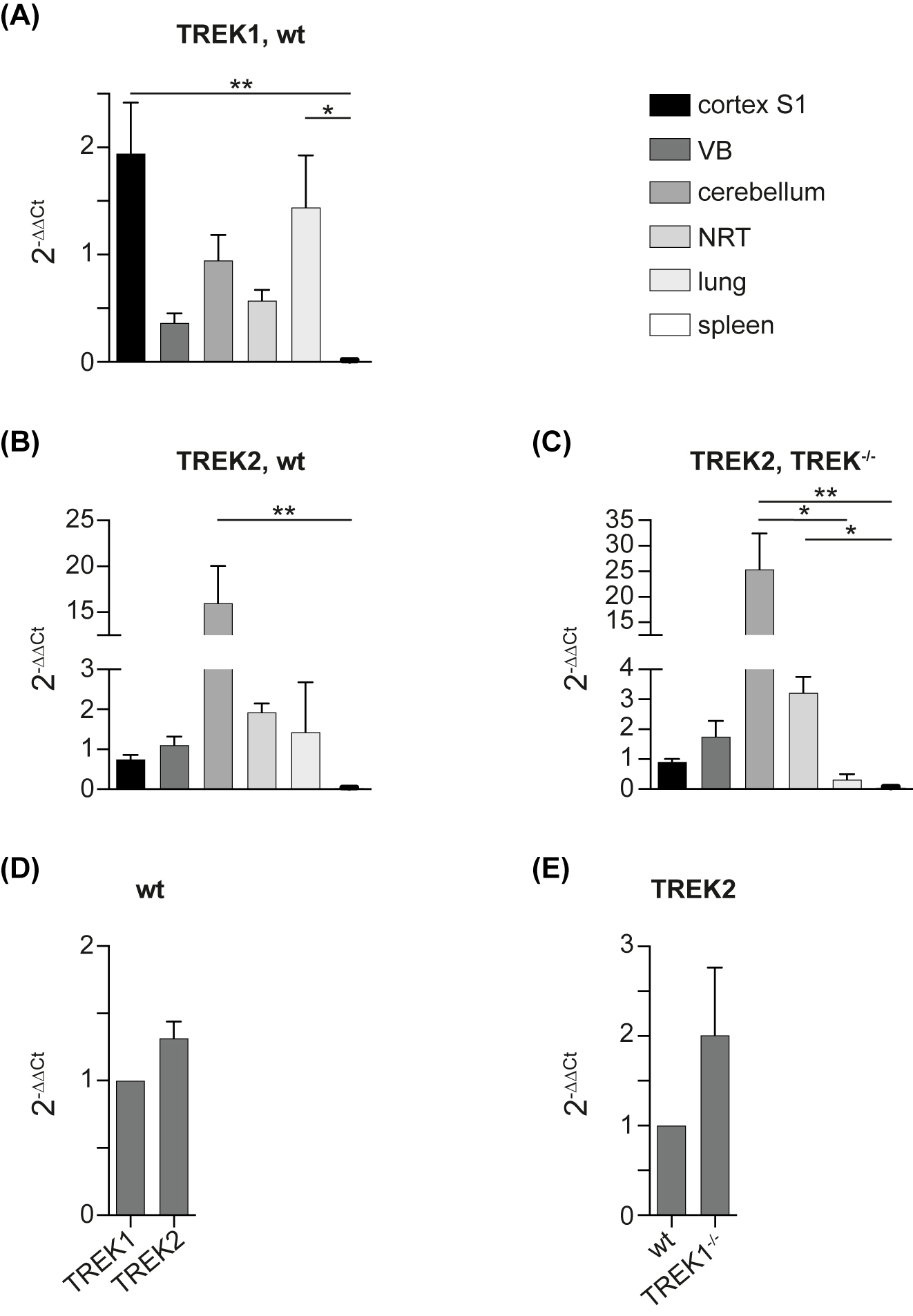 Figure 7:
RT-qPCR showing the expression levels of TREK1 and TREK2 in different brain regions in wt C57BL/6J and TREK1−/− mice. Tissue was collected from the primary somatosensory cortex (S1), VB, cerebellum, NRT and hippocampus. The lung served as positive control, the spleen as negative control. After determination of the ∆Ct values the 2-∆∆Ct value was calculated to show relative expression levels. A: Relative expression of TREK1 in different brain regions in wt C57BL/6J mice. Expression levels were normalized to expression levels of the hippocampus. Hippocampal expression is therefore not shown (Kruskal–Wallis test including Dunn´s post-hoc test, n = 4, p = 0.048 for cortex S1 vs. spleen, p = 0.029 for lung vs. spleen, p > 0.05 for remaining data). B: Relative expression of TREK2 in different brain regions of wt C57BL/6J mice. Expression levels were normalized to those of the hippocampus (Kruskal–Wallis test including Dunn´s post-test, n = 4, p = 0.0018 for cerebellum vs. spleen, p > 0.05 for the remaining data). C: Relative expression of TREK2 in different brain regions of TREK1−/− mice. Expression levels were normalized to the hippocampus. (Kruskal–Wallis test including Dunn´s post-test, n = 4, p = 0.0206 for cerebellum vs. lung, p = 0.0014 for cerebellum vs. spleen, p = 0.0477 for NRT vs. spleen, p > 0.05 for the remaining data). D: Relative expression of TREK2 in comparison to TREK1 in the VB of wt C57BL/6J mice (One sample Wilcoxon test, n = 4, p > 0.05). E: Relative expression of TREK2 in VB neurons of TREK1−/− mice normalized to wt C57BL/6J mice (One sample Wilcoxon test, n = 4, p > 0.05). Abbreviations: Ct, cycle threshold; NRT, thalamic reticular nucleus; RT-qPCR, real-time polymerase chain reaction; S1, primary somatosensory cortex; SEM, standard error of the mean; TREK1, TWIK-related potassium channel 1; TREK1−/−, TREK1 knockout; TREK2, TWIK-related potassium channel 2; VB, ventrobasal thalamic complex; wt, wild type.