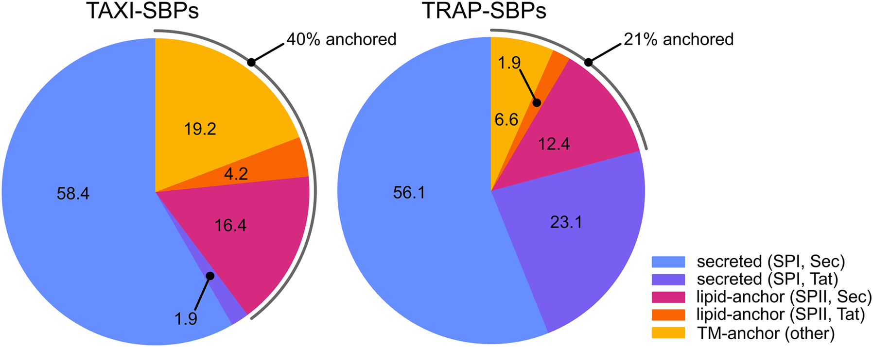 Figure 5:
Signal sequence variation in TAXI-and TRAP-SBPs. Pie charts representing the SignalP analysis of sequences of TAXI-and TRAP-SBPs obtained from TRAPDB. Numbers refer to the percentage of proteins with the respective signal sequence. The TAXI-SBP dataset consisted of 215 unique sequences with a maximum, minimum, median, and average identity of 99.7, 8.3, 23.4, and 25.9%, respectively. The TRAP-SBP dataset consisted of 636 unique sequences with a maximum, minimum, median, and average identity of 99.7, 7.0, 20.2, and 21.6%, respectively. SPI, SPII, Sec, and Tat refer to Signal Peptidase I, Signal Peptidase II, Sec translocon, and the Tat translocon, respectively. In this analysis ‘other’ refers to SBPs without any predicted signal sequence but with an N-terminal hydrophobic transmembrane segment.