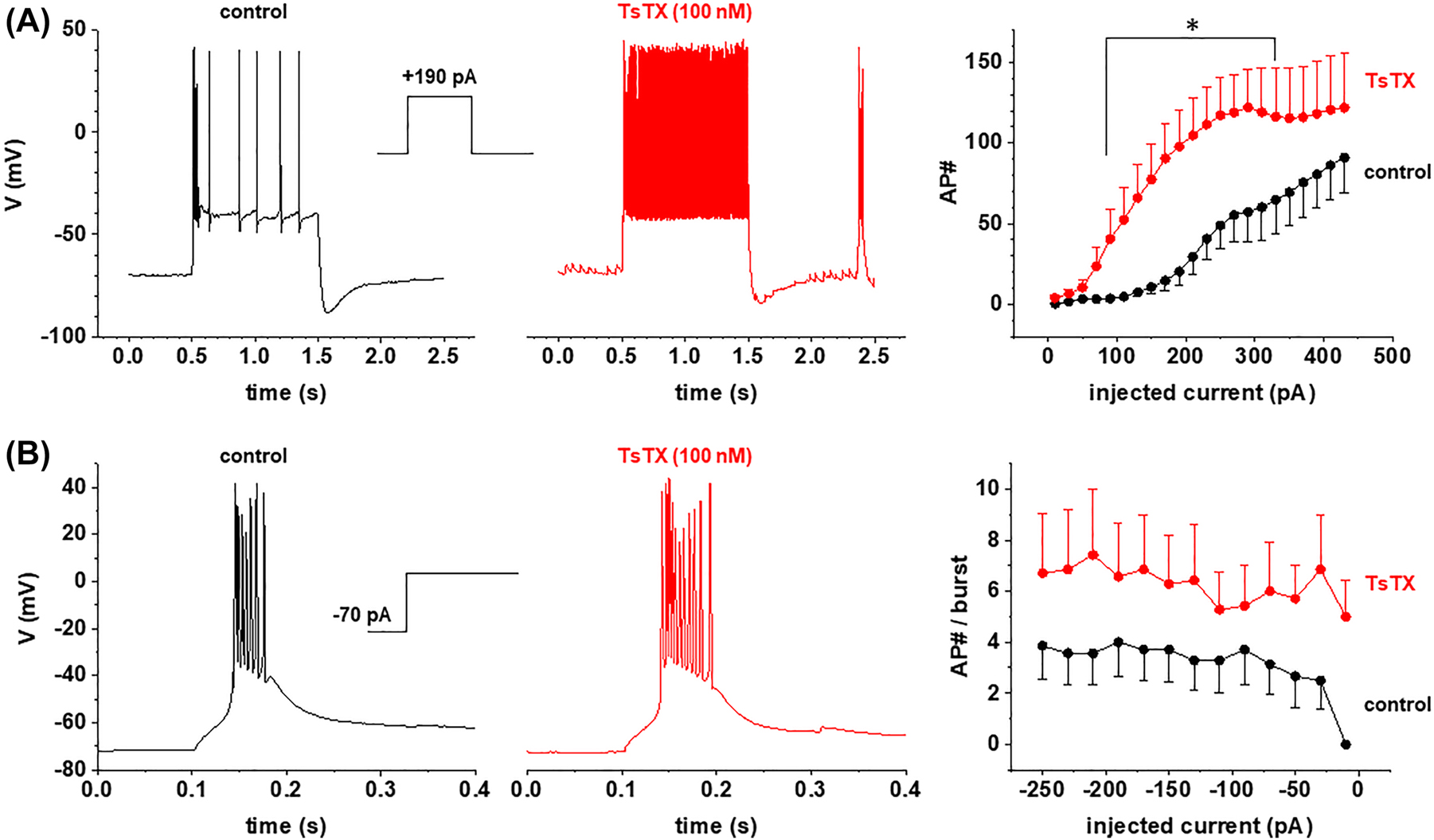Figure 6:
Changes in firing pattern of TC neurons in WT mice following application of TsTX. (A) Sample traces recorded in response to the injection of depolarizing currents (+190 pA) from the RMP of TC neurons in the VB complex of WT mice under control conditions (black; n = 7) and in the presence of TsTX (red; n = 7). The number of APs elicited by the injection of positive currents with 20 pA increments from RMP is shown. Significantly (repeated-measures ANOVA, P < 0.001) more APs were evoked in the presence of TsTX. Note the occurrence of a spontaneous burst in the presence of the blocker. (B) Sample traces of rebound bursting elicited by hyperpolarizing current pulse (−70 pA) from RMP. The number of APs in a burst was different between control conditions and presence of TsTX for some of the hyperpolarizing steps.