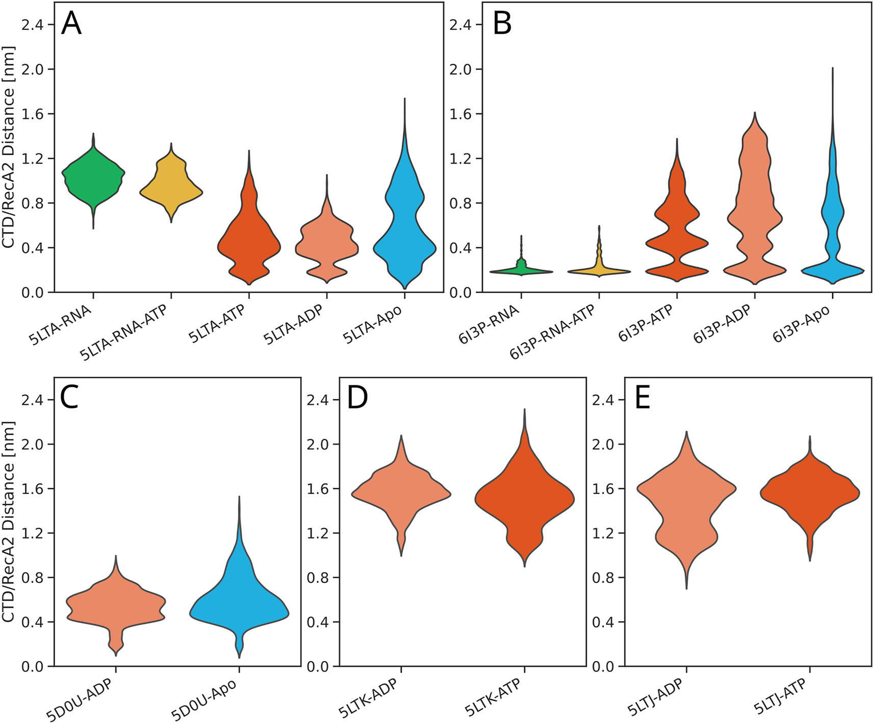 Figure 4: 
Violin plots of distributions of the CTD–RecA2 distance. Results were taken from 16 different simulation setups, as indicated in the axis labels.
