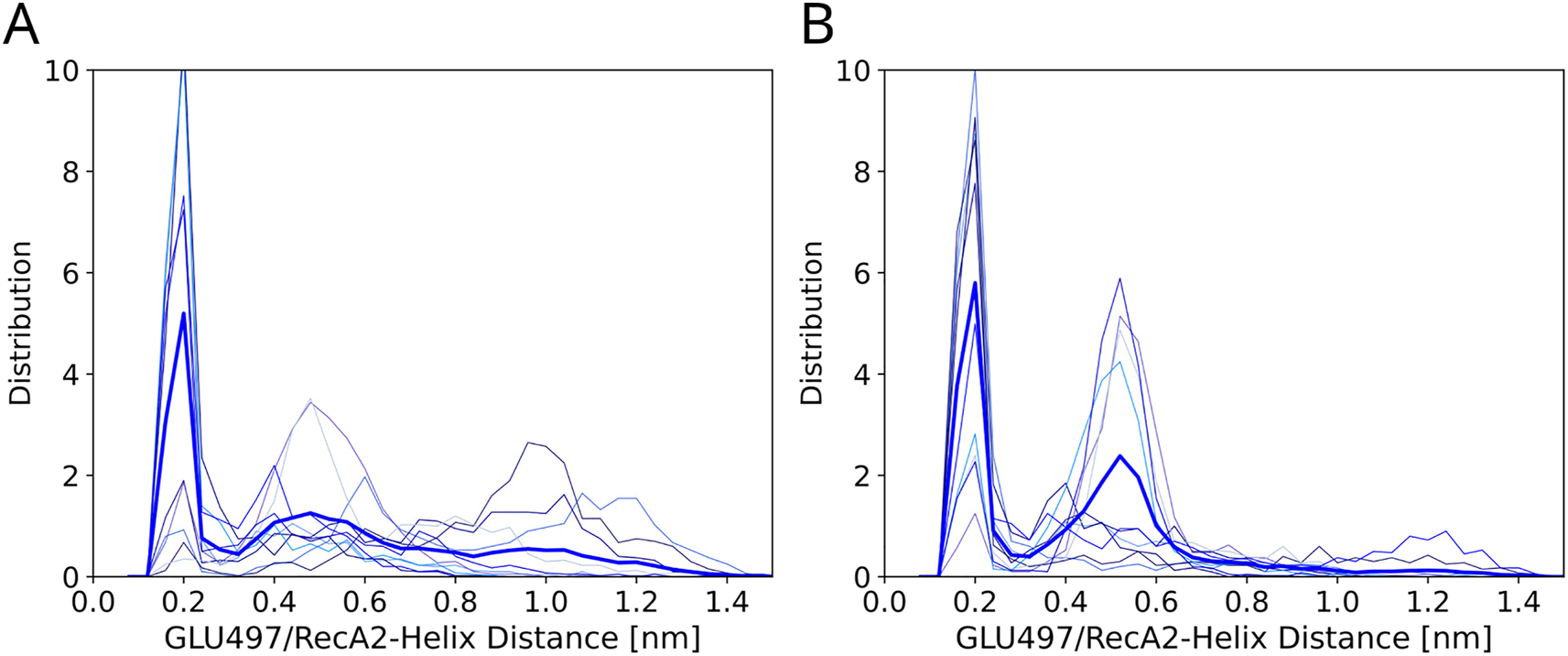 Figure 7: 
Influence of G-patch protein on the CTD–RecA2 distance. (A) Glu497/RecA2 distance distribution of the DHX15 apo-structure in absence or (B) in presence of the G-patch protein. Thin lines represent distributions from ten individual 1-µs simulated tempering simulations. Thick blue lines show the average over ten independent simulations.
