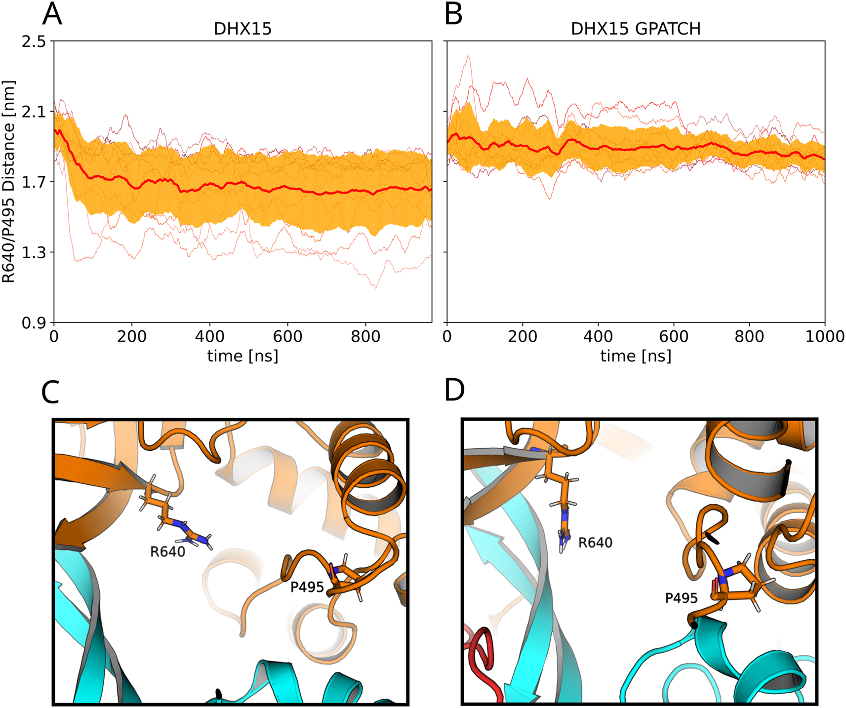 Figure 8: 
Influence of G-patch protein on the RNA tunnel. (A/B) degree of openness of the RNA tunnel measured as the distance between Arg748 of the ratchet-like domain and Pro603. Thin lines represent ten independent simulated tempering simulations (A) in absence or (B) in presence of the G-path protein. Thick red lines and orange shaded areas represent average and standard deviation among ten independent simulations. (C) Molecular representations of RNA tunnel in a more closed and (D) in a more open conformation.

