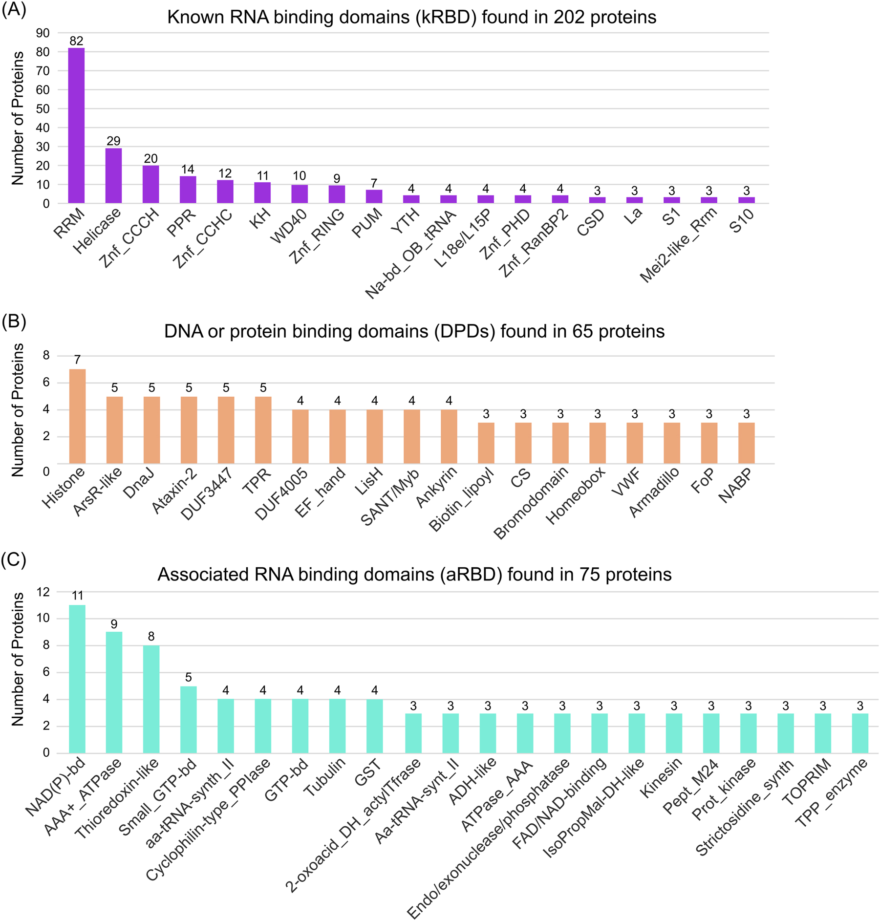 Figure 4:
Occurrence of RNA binding domains (RBDs) in the egg cell-like RBPome. (A–C) Number of proteins containing known (A), potential (B) and associated (C) RNA binding domains, respectively. Only InterPro domains or repeats with at least three hits were considered. kRBD are those domains/repeats, classified as RNA binding domain/repeat in its InterPro description site. DPDs are domains with a known function in protein or DNA binding. aRBD are mostly enzymatic domains and those which could not be classified as kRBD or DPDs. Note that some proteins contain several RBDs of the individual classes.