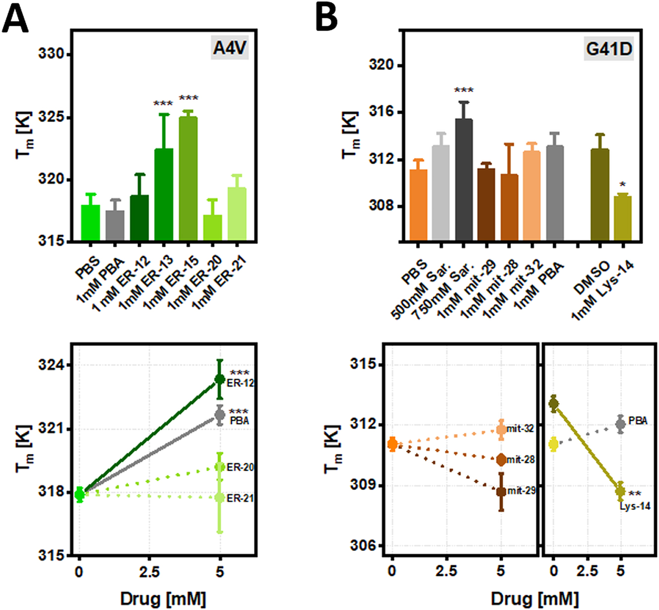Figure 8:
T
m
for in vitro purified SOD1bar-A4V (a) and -G41D (b) in control conditions (PBS and DMSO) or supplied with 1 and 5 mM of ER-, mitoc- and lyso-targeted PBA or sarcosine derivatives for 30 min at RT. Statistical significances were computed by GraphPad Prism V. 8.0 using one-way ANOVA and post-hoc Dunnett-test with a confidence interval of 95 % (*p ≤ 0.05, **p ≤ 0.01, ***p ≤ 0.001). Statistical comparisons refer to each drug condition and the respective control.