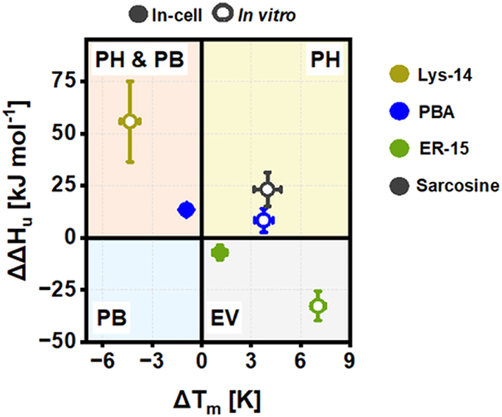 Figure 9:
Classification of tested chemical chaperones based on excess unfolding enthalpies (ΔΔH
u
0′) and melting points (ΔT
m
) for the drugs that induced an active (de)stabilizing effect on SOD1bar-A4V/G41D folding inside cells as well as in vitro. PH stands for preferential hydration, PB for preferential binding and EV for excluded volume. Concentrations shown are as follow: ER15in-cell/in vitro
= 1 mM; Lys14
in vitro
= 5 mM, Sarcosine
in vitro
= 750 mM, PBAin-cell = 1 mM and PBA
in vitro
= 5 mM.