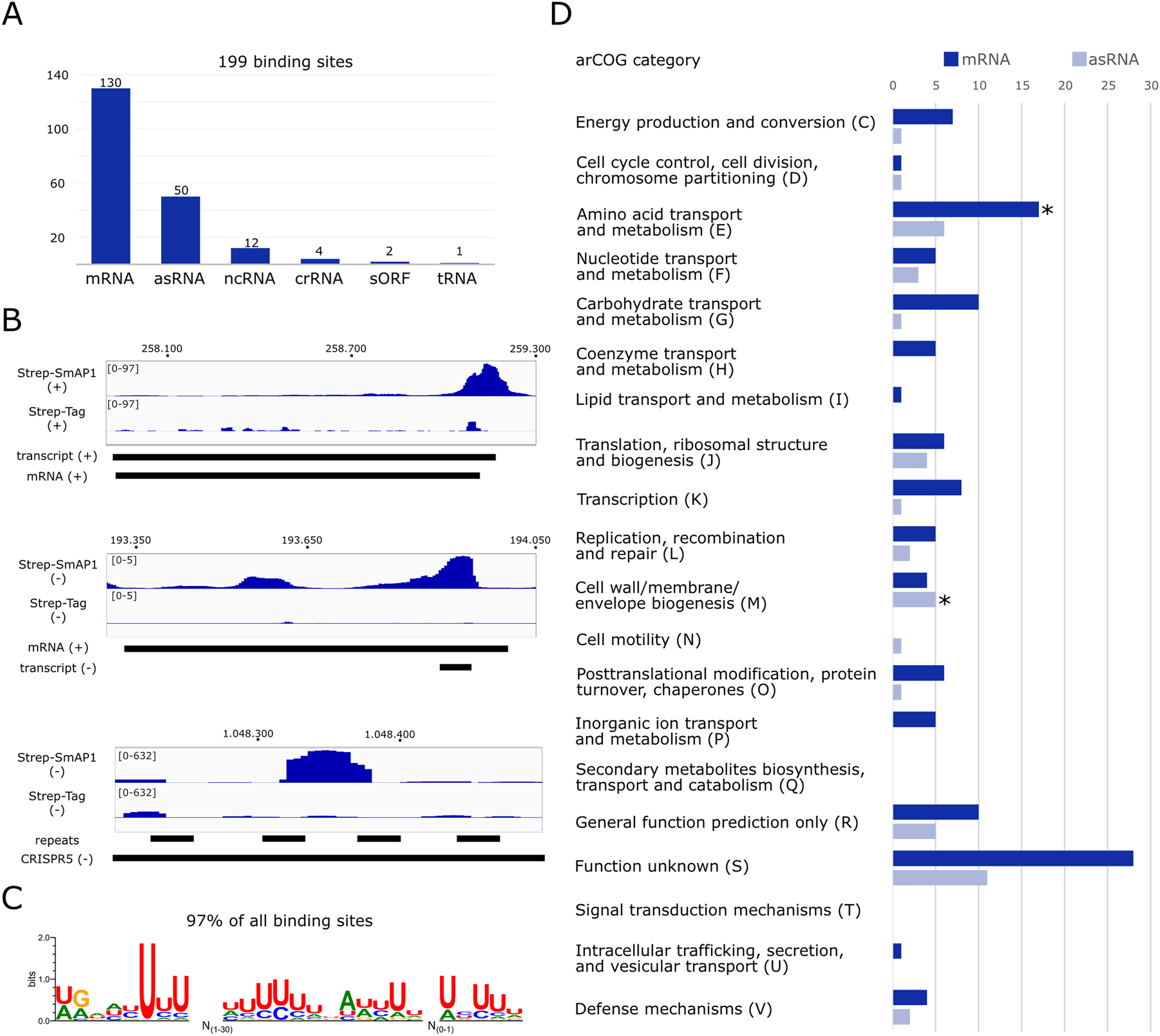 Figure 2: 
SmAP1 interacts with RNAs containing a U-rich motif in vivo. (A) Bar chart showing the variety of RNA types associated with PfuSmAP1 in vivo. (B) Strand-specific visualisation of mapped RNA-seq reads of PfuSmAP1 (Strep-SmAP1) or the Strep-tag peptide only (Strep-tag) at specific chromosomal loci using the Integrated Genomics Viewer (Robinson et al. 2011). Annogesic derived annotations (mRNA, transcript, crRNA and CRISPR repeats) are shown as black bars. (C) WebLogo three representation (Crooks et al. 2004) of the gapped U-rich PfuSmAP1 binding motif indentified using Glam2. (D) Enrichment analysis of archaeal clusters of orthologous genes (arCOGs) of mRNAs directly associated with PfuSmAP1 (dark blue bar) and indirectly associated via an asRNA, which interacts with PfuSmAP1 in vivo (light blue bar). arCOG groups with a p-value < 0.05 are considered significantly overrepresented and are highlighted by a black star.
