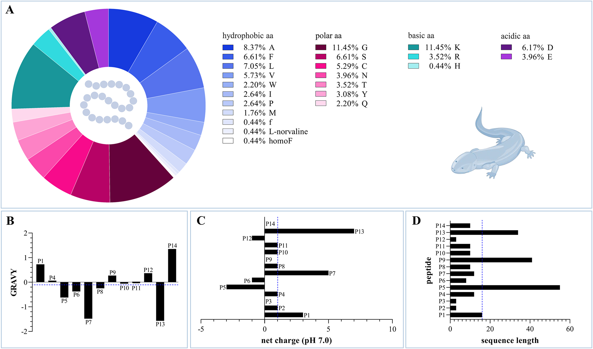 Figure 3: 
Chemical properties of caudate skin peptides P1–P14. (A) The amino acid composition of the 14 caudate amphibian skin peptides is shown, consisting of 23 amino acids. (B) The GRAVY values are displayed, with exception of the highly modified peptides P2 and P3. The average value is −0.102, which slightly tends towards predominantly hydrophilic properties. (C) The net charges at pH 7.0 of all the fourteen peptides P1 to P14 are given with an average value of +1. (D) The sequence length of the peptides ranges from three to 55 amino acids with an average of 16 amino acids. All average values are marked with a blue dashed line. aa, amino acid; GRAVY, grand average of hydropathicity.
