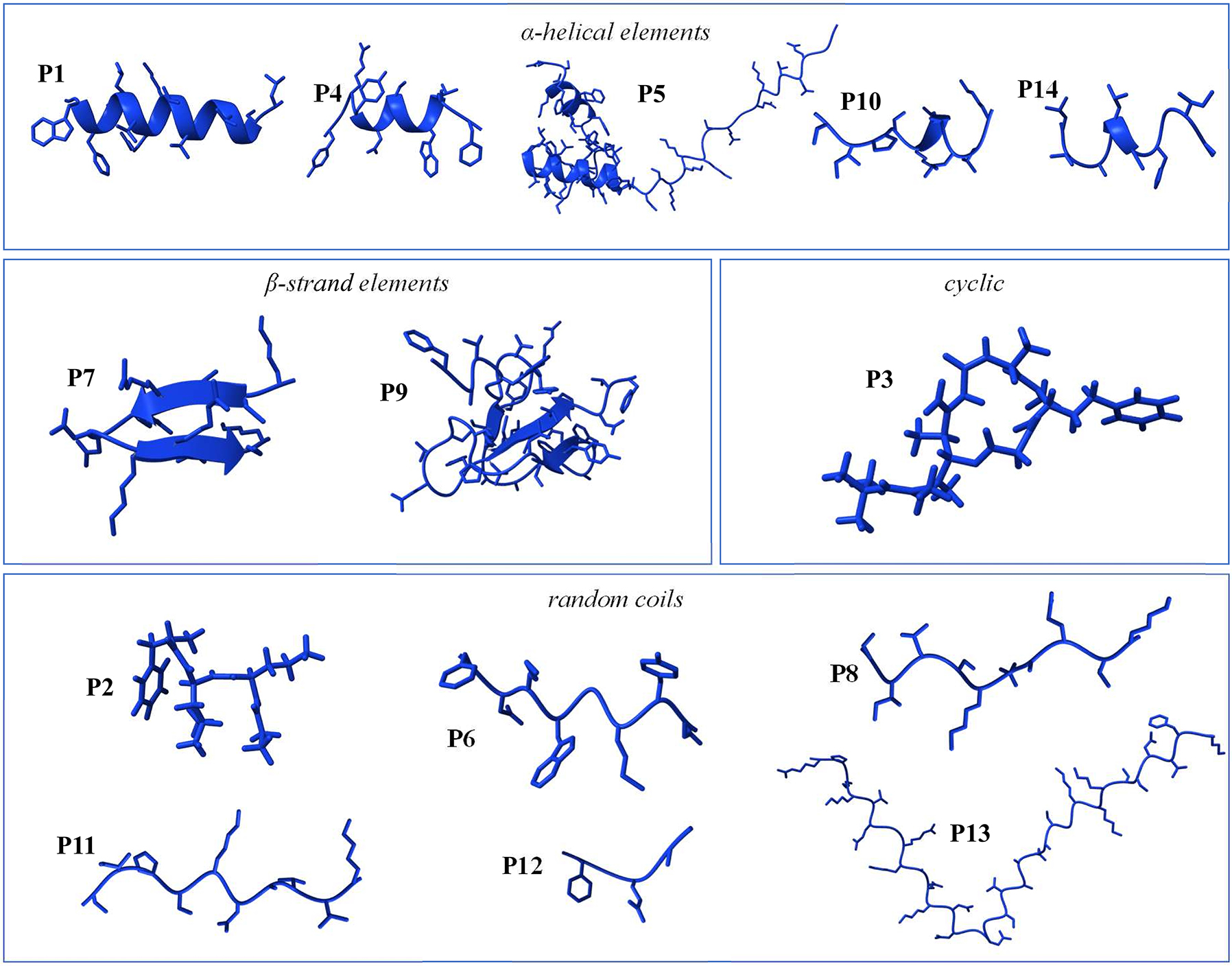 Figure 4: 
Predicted secondary structures of caudate amphibian skin peptides. As predicted by the AlphaFold tool in UCSF ChimeraX (Jumper et al. 2021; Meng et al. 2023), the secondary structures of skin peptides P1 to P14 are displayed and can be categorized by the presence of specific structural elements, involving α-helical elements (P1, P4, P5, P10, and P14), β-strand elements (P7 and P9), cyclic (P3), and random coils (P2, P6, P8, P11, P12, and P13).
