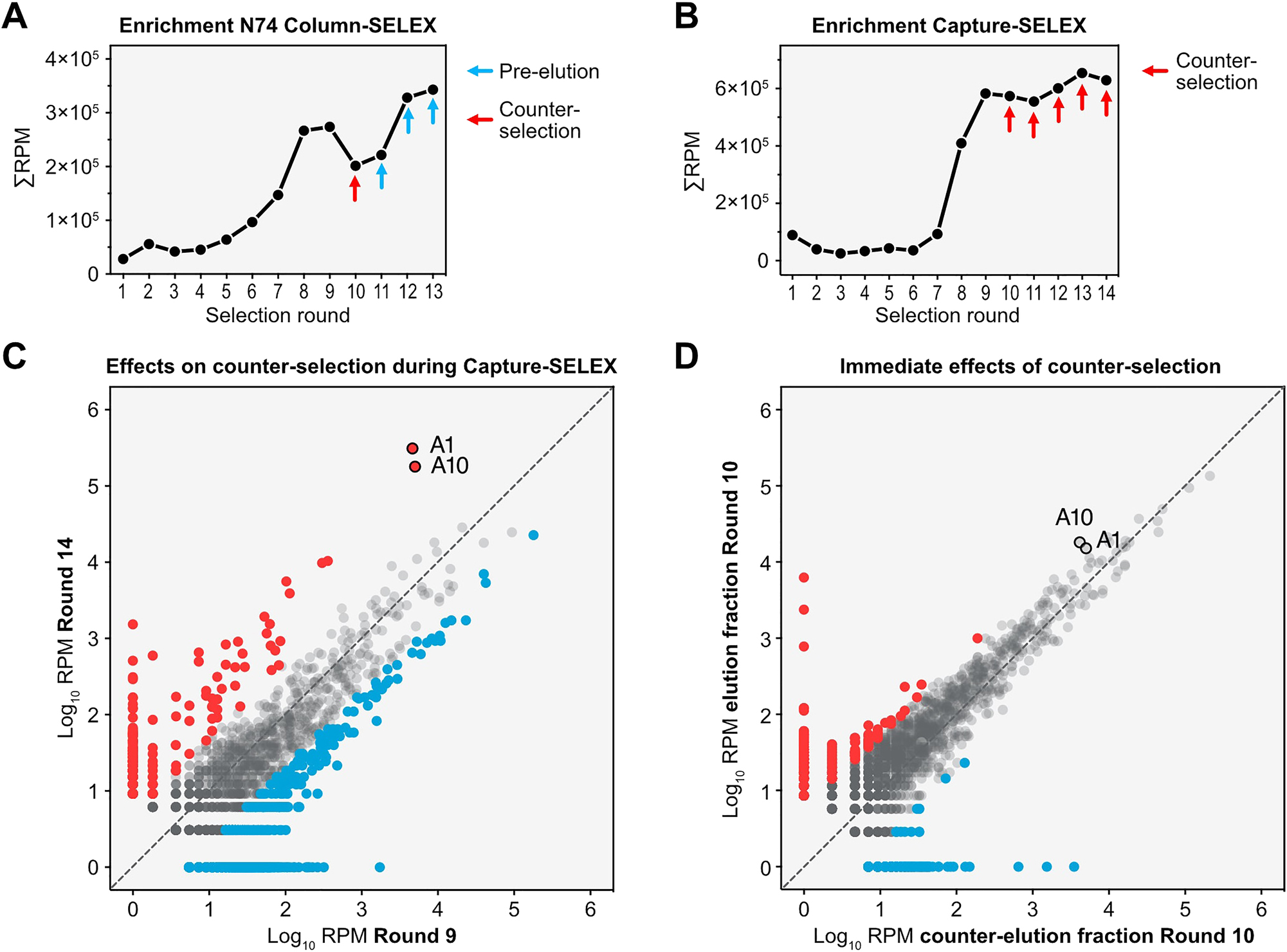 Figure 5:
NGS revealing impact of counter-selection during SELEX. (A) Tracking of the Top100 enriched sequences found in the last round of the N74 column-based SELEX. The abundance of the sequences is shown in reads-per-million (RPM) over the rounds of selection. Indicated by arrows are the changed selection parameters, either counter-selection (red) or pre-elution (blue). A striking feature of the graph is the decrease in sequence abundance in reaction to the counter-selection and the fast recovery in the following two rounds. (B) Tracking of the Top100 enriched sequences found in the last round of the Capture-SELEX. The abundance of the sequences is shown in reads-per-million (RPM) over the rounds of selection and the rounds with a counter-selection step are indicated by red arrows. (C) Comparison of the abundance of sequences in RPM from round 9 and round 14 of the Capture-SELEX for illustration of long-term effects by the counter-selection. Sequences increasing ≥ 5-fold in reads between round 9 and 14 are accounted as enriching (red) while sequences decreasing ≥ 5-fold in reads are accounted as depleting (blue). Highlighted are the final candidates A1 and A10. (D) Comparison of the abundance of sequences in RPM in the elution fraction and counter-selected fraction during round 10.