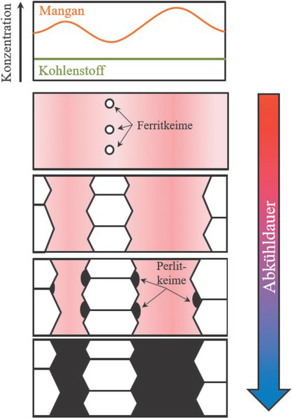 Bild 11 Schematische Darstellung der Bildung einer zeiligen Gefügestruktur beim AbkühlenFig. 11. Schematic representation of the formation of a banded microstructure during cooling