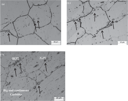 Figure 5 Carbide distribution in the alloy containing (a) 0.02, (b) 0.05 and (c) 0.09 wt% C.