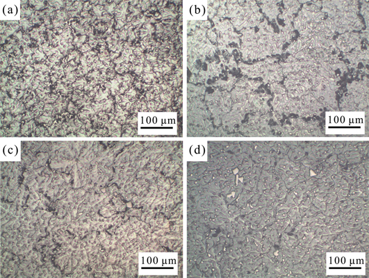 Figure 2 Metallographic structure of the as-cast AZ80–2Sn alloys with different Y additions: (a) alloy 1; (b) alloy 2; (c) alloy 3; (d) alloy 4