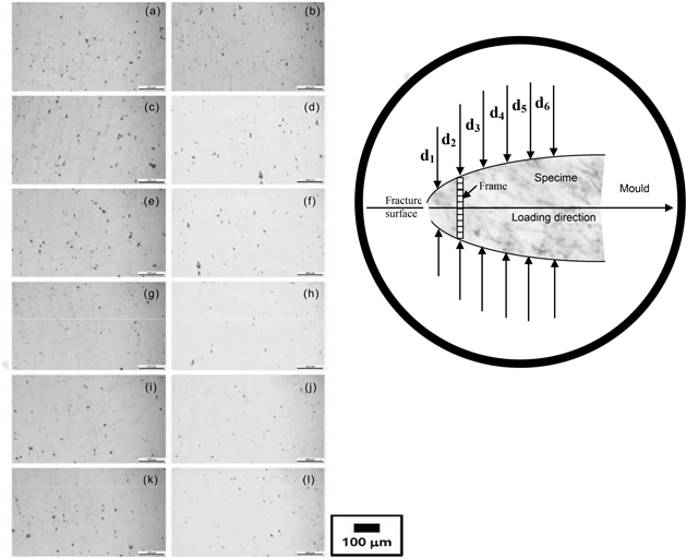 Figure 5: Extent of creep cavity at various stresses and strains (a, c, e, g, i, k) – 50 MPa and (b, d, f, h, j, l) – 68 MPa for the top tube. True strain at (a) 1.187, (c) 0.897, (e) 0.626, (g) 0.525, (i) 0.398 and (k) 0.359. (b) 0.781, (d) 0.652, (f) 0.565, (h) 0.40, (j) 0.244 and (l) 0.149 [8].