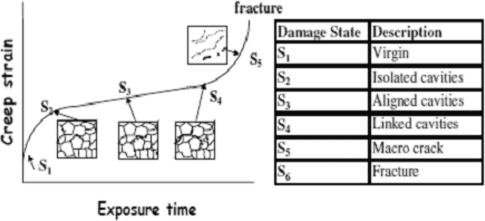 Figure 8: A schematic representation of the nature of damage evolution in material subjected to creep loading and the phases used to represent the same.