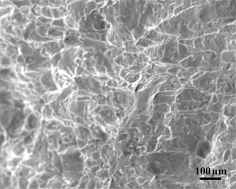 Figure 5 Fractographic examination of failed primary superheater tube
