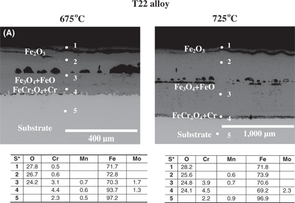 Figure 7 A comparison of the cross-sectioned samples: after 500-h exposure at 675°C and 725°C: (A) T22, (B) T23, (C) TP347HFG, (D) HR3C and (E) 718+