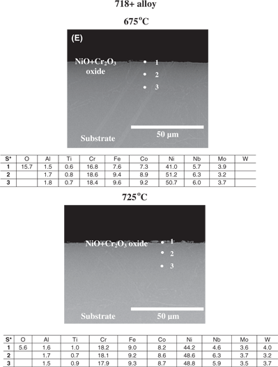 Figure 7 A comparison of the cross-sectioned samples: after 500-h exposure at 675°C and 725°C: (A) T22, (B) T23, (C) TP347HFG, (D) HR3C and (E) 718+