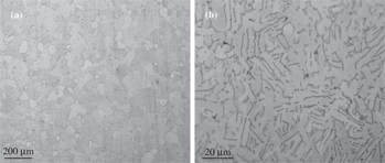 Figure 1: Optical microstructure of Ti-5Al-2.5Sn (a) and Ti-6Al-4V (b) alloys. (a) single α phase; (b) dark = β phase, light matrix = α phase.