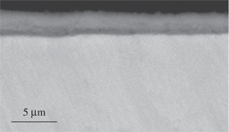 Figure 4: Micrograph (SEM/BEI) of a cross section of Ti-5Al-2.5Sn oxidized in air at 650°C for 24 h.
