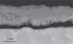 Figure 7: Micrograph (SEM/BEI) of a cross section of Ti-6Al-4V oxidized in air at 650°C for 24 h.
