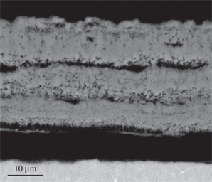 Figure 8: Micrograph (SEM/BEI) of a cross section of Ti-6Al-4V oxidized in air at 750°C for 24 h.