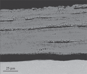 Figure 9: Micrograph (SEM/BEI) of a cross section of Ti-6Al-4V oxidized in air at 850°C for 24 h.
