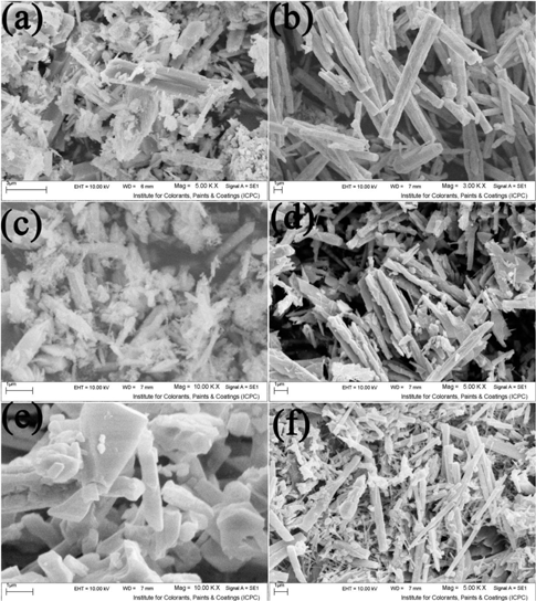 Figure 4: SEM image of (a–f) sample no. 1–6, respectively.